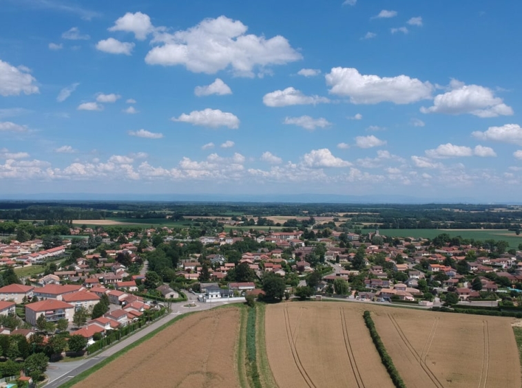 agence immobilière Mionnay