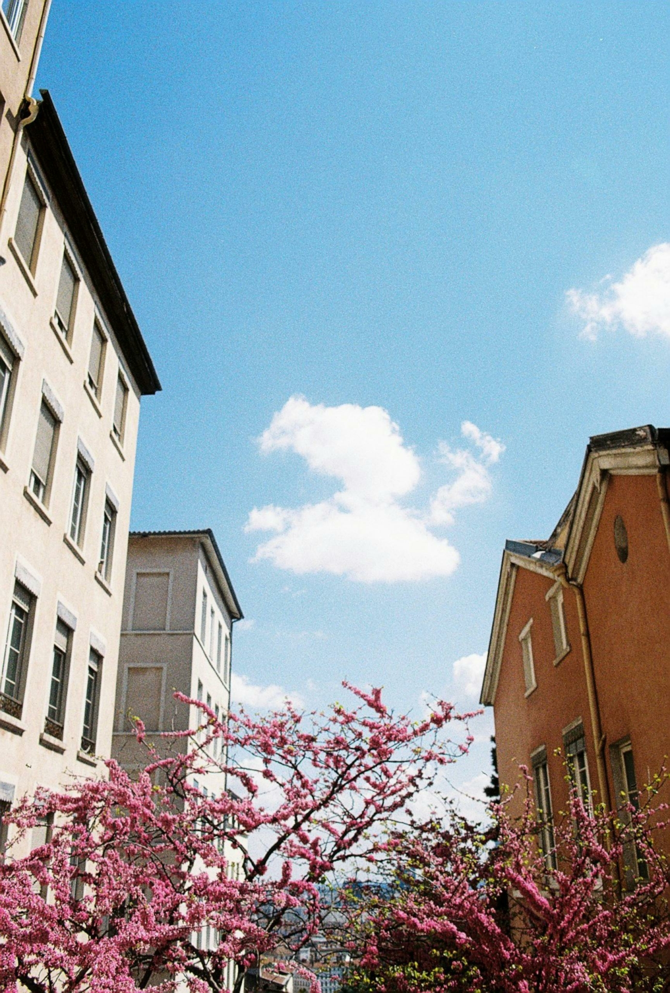 agence immobilière Lyon 3