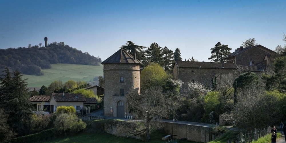 Agence immobilière Poleymieux-au-Mont-D'or